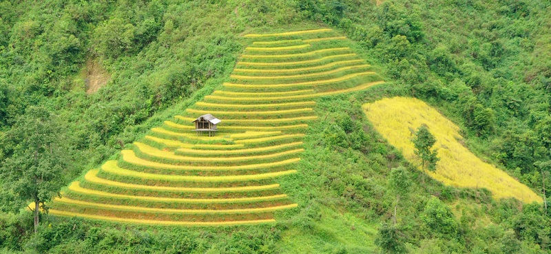 La Pán Tần