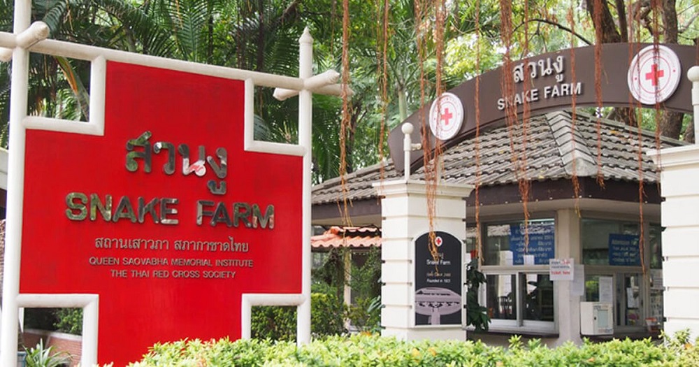 Trại Rắn Hoàng Gia Thái Lan