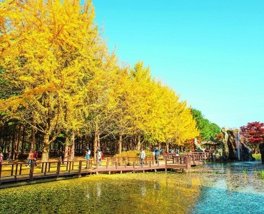 [Khám Phá] 25 Địa Điểm Du Lịch Hàn Quốc Nổi Tiếng Nhất