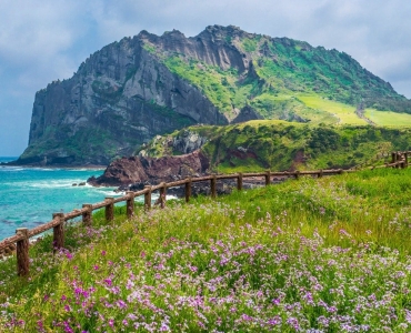 Du Lịch Jeju: Khám Phá Hòn Đảo Tuyệt Vời Của Hàn Quốc