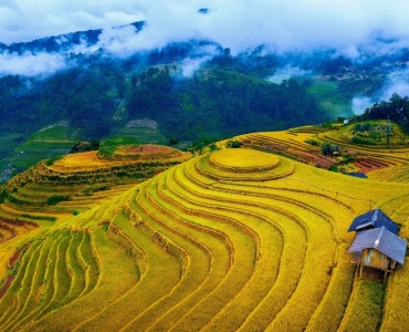 Mùa Vàng Mù Cang Chải - Tuyệt Tác Nghệ Thuật Giữa Núi Rừng Tây Bắc