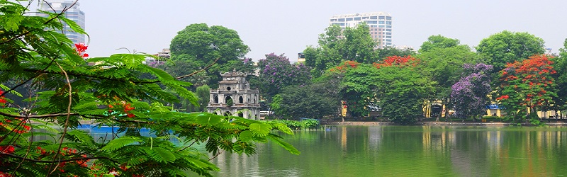 Tour Đà Nẵng/ Huế - Hà Nội - Sapa (Lao Chải - Tà Van - Cát Cát - Hàm Rồng) 