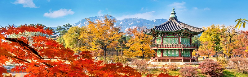 Tour Seoul - Đảo Nami - Công Viên Everland - Bảo Tàng Tranh 3D - Tháp Truyền Hình 