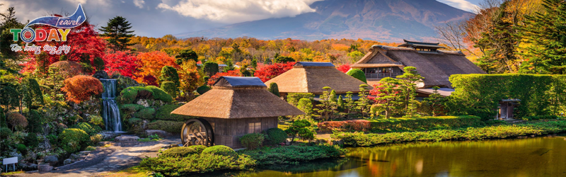 Chùm Tour Nhật Bản Tokyo - Phú Sỹ - Yamanashi